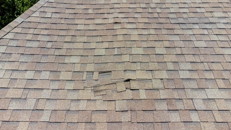 Asphalt Roof Inspection in Estes Park, CO
