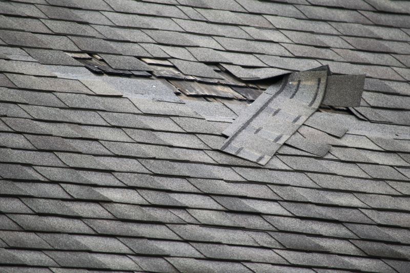 Asphalt Roof Leak Repair in Jamestown, CO