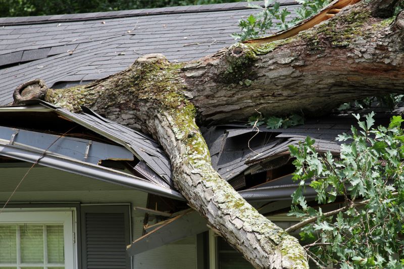 Asphalt Roofing Service in Longmont, CO