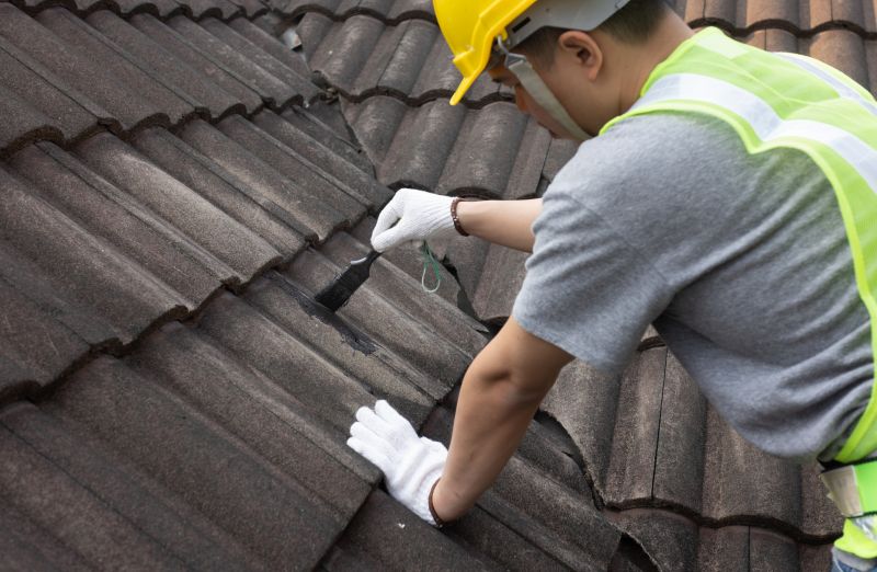 Bedroom Leak Repair in Longmont, CO