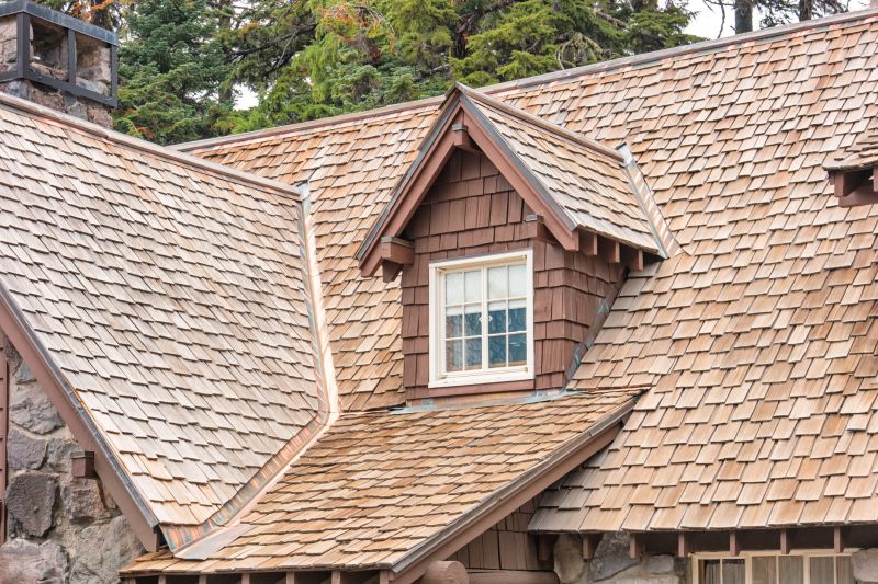 Cedar Shake Roof Repair in Nederland, CO