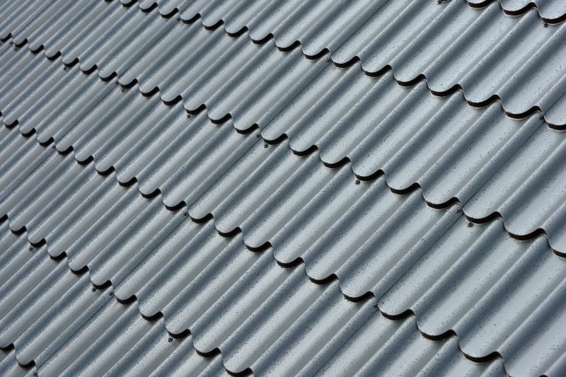 Corrugated Roof Repair in Jamestown, CO