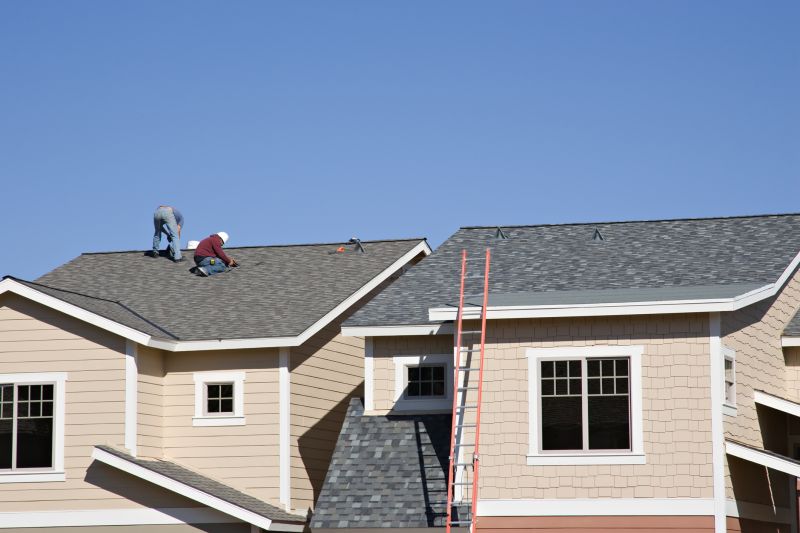 Damaged Roof Repair in Erie, CO