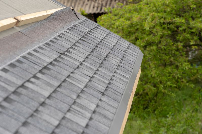 Damaged Roof Repair in Loveland, CO