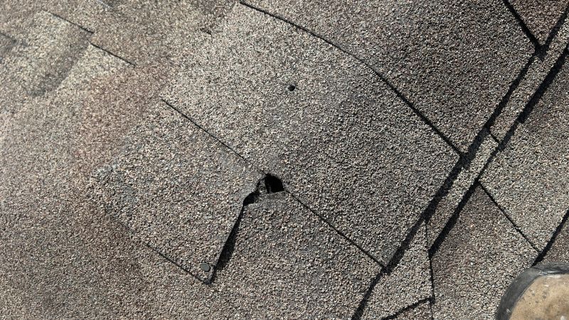 Damaged Roof Repair in Lyons, CO