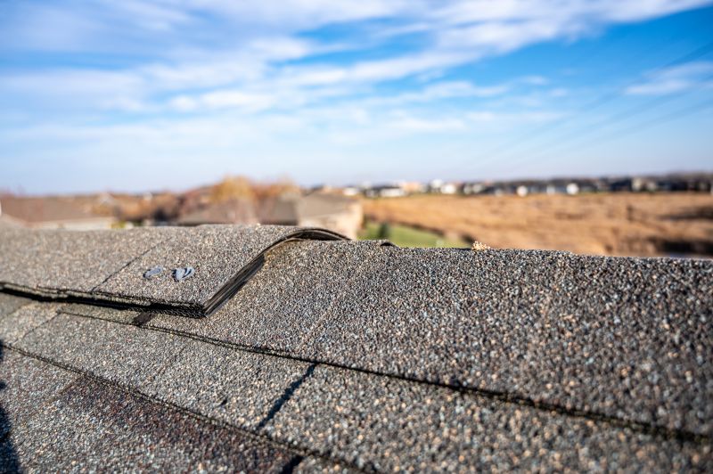 Damaged Roof Repair in Milliken, CO