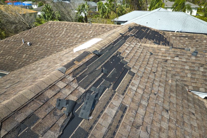 Dormer Roof Repair in Longmont, CO