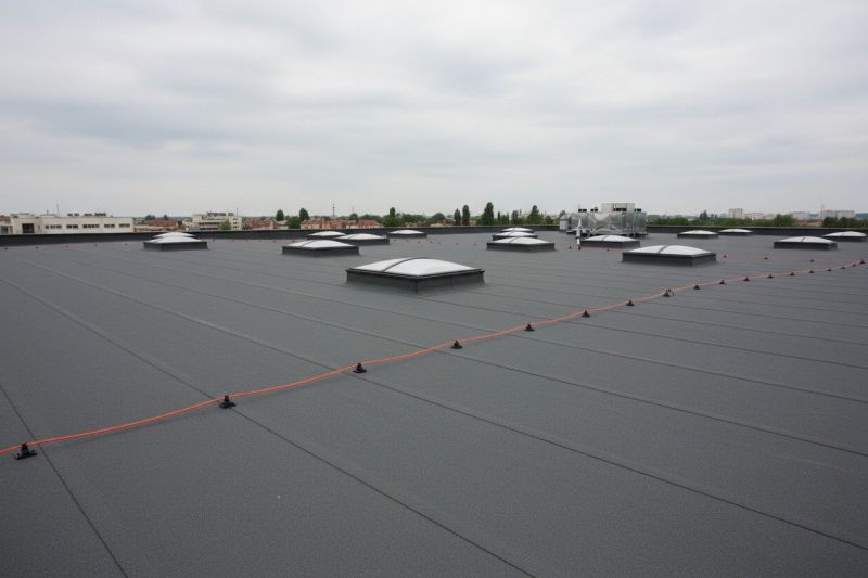 Flat Roof Replacement in Loveland, CO
