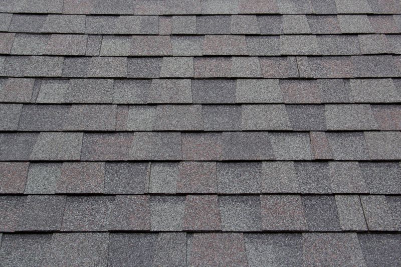 Home Roof Installation in Longmont, CO