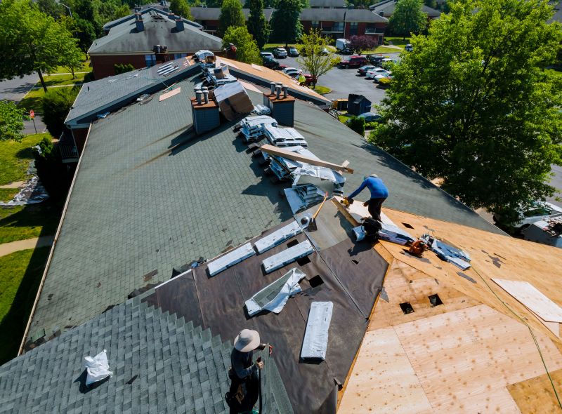 Roof Construction in Nederland, CO