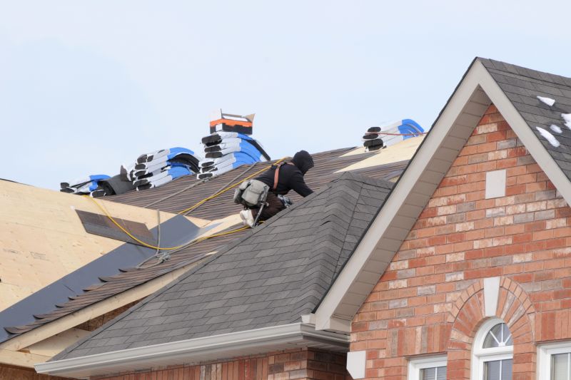 Roof Construction in Nederland, CO