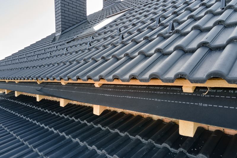 Roof Construction in Nederland, CO