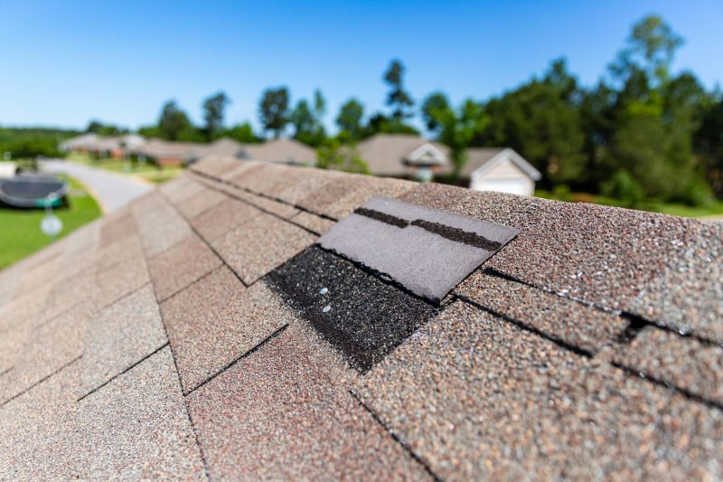 Roof Shingles Repair in Longmont, CO