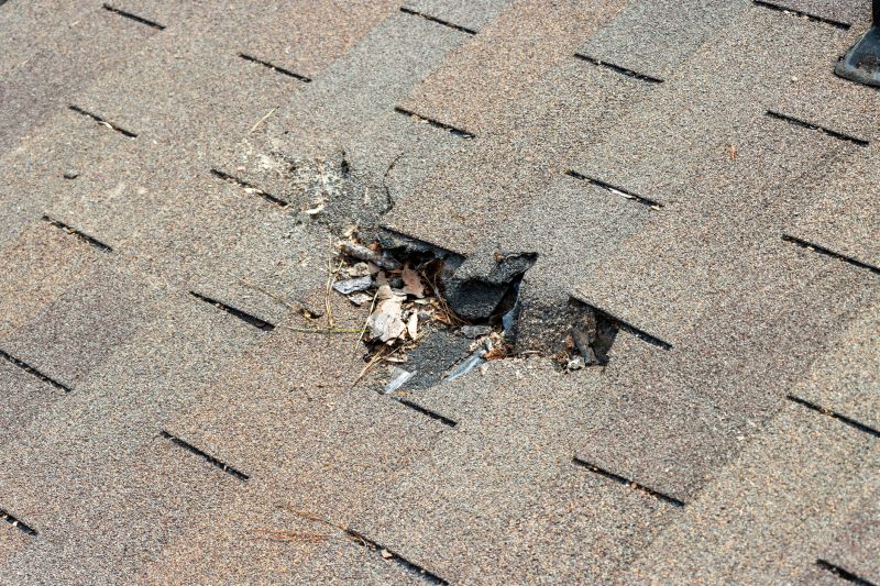 Roof Shingles Replacement in Fort Lupton, CO