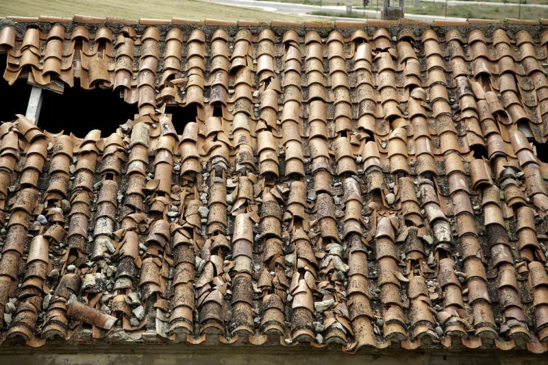 Roofing Evaluation in Allenspark, CO