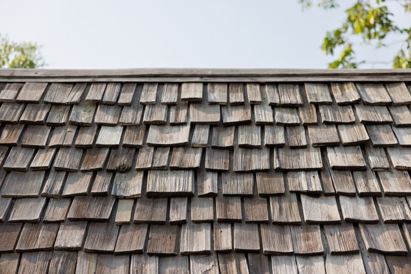 Shake Shingle Repair in Allenspark, CO