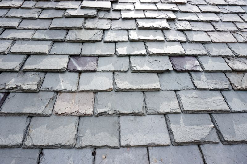 Slate Shingles Repair in Nederland, CO