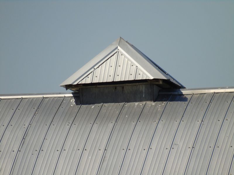 Tin Roof Installation in Fort Lupton, CO