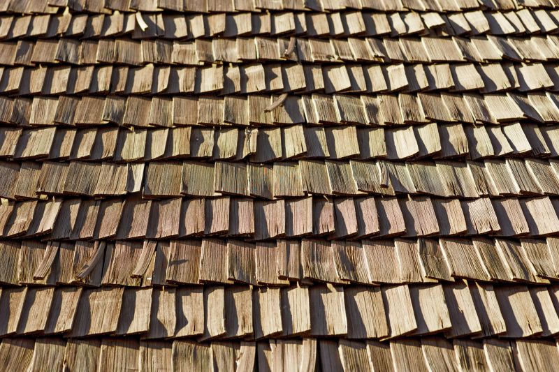 Wood Shake Roof Replacement in Allenspark, CO