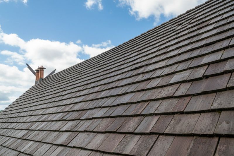 Wood Shake Roof Replacement in Allenspark, CO